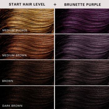 KERACOLOR Color + Clendi Purple Brunettes 120oz 355ml [KER118]