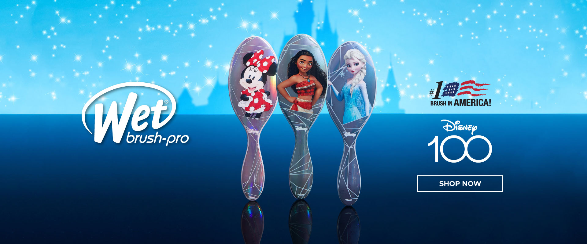 [Homepage] Wet Brush Disney 100