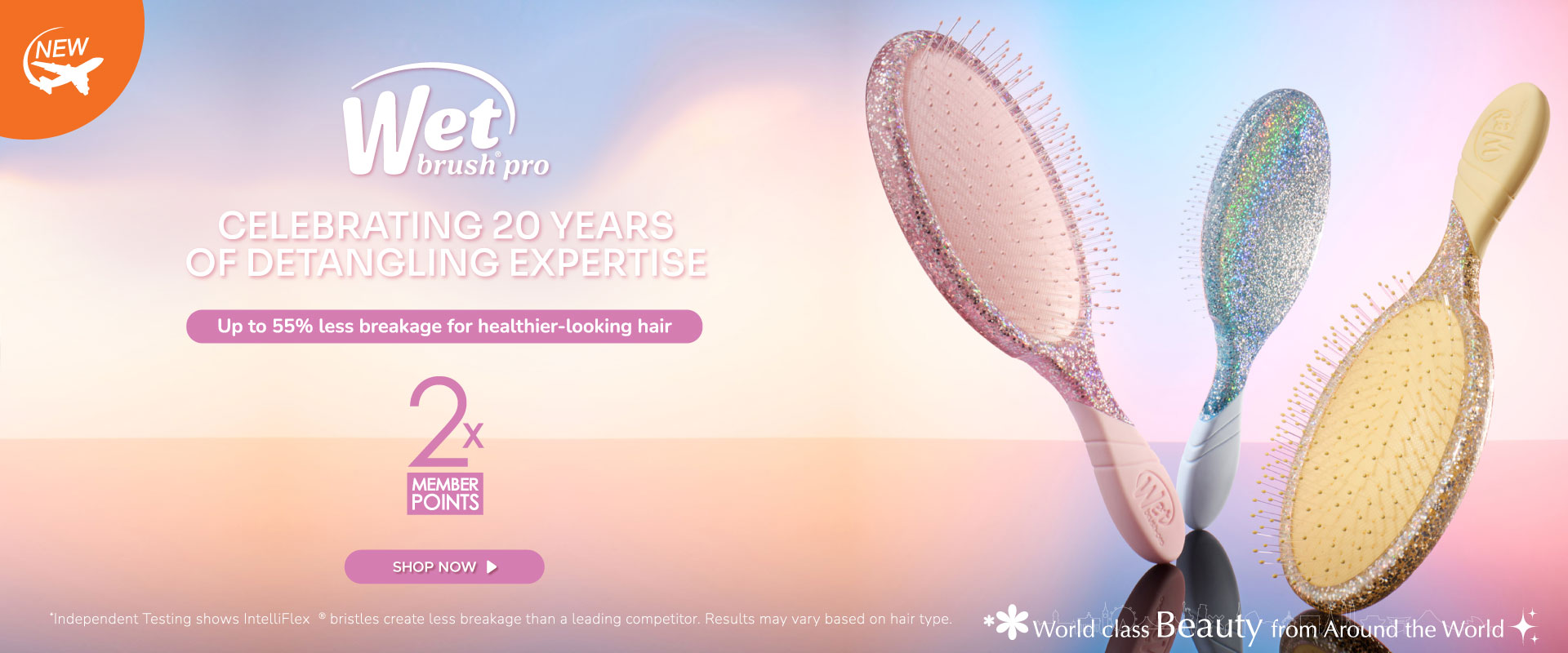 [World Class Beauty] Wet Brush