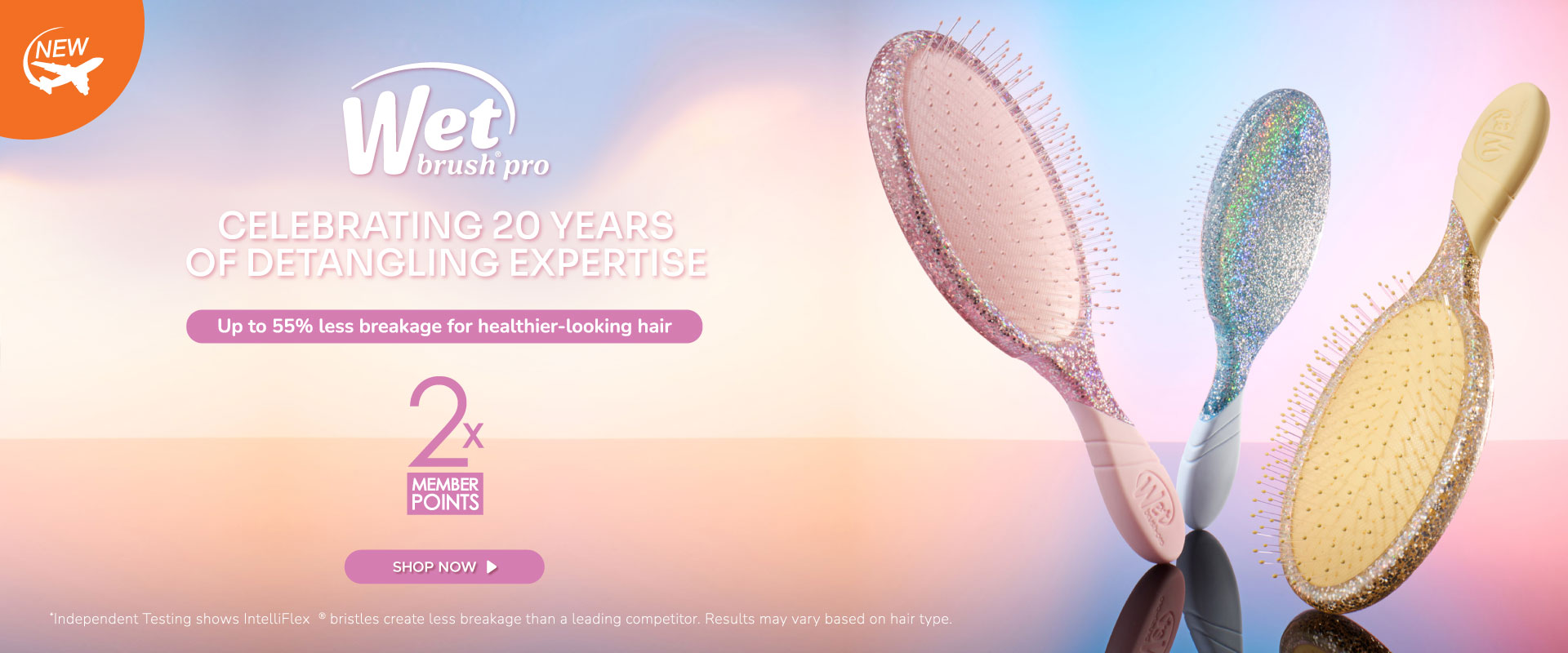 [Homepage] Wet Brush 20 Years