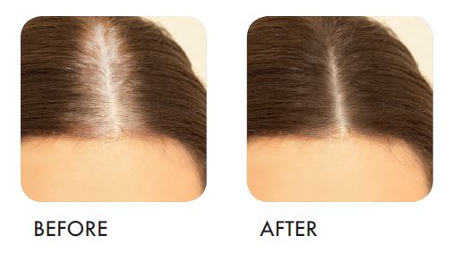 RICA Out of Sight Hair Touch Up 75ml - Dark Brown [RCAS100] - Hair Colors -  HAIRCARE